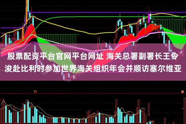 股票配资平台官网平台网址 海关总署副署长王令浚赴比利时参加世界海关组织年会并顺访塞尔维亚