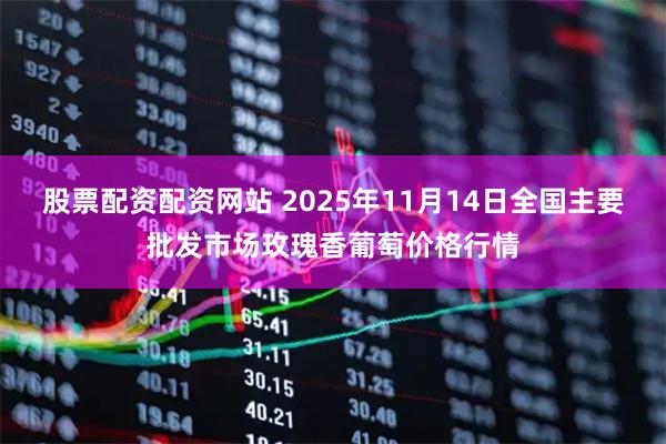 股票配资配资网站 2025年11月14日全国主要批发市场玫瑰香葡萄价格行情
