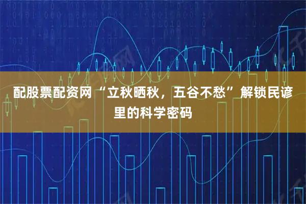 配股票配资网 “立秋晒秋，五谷不愁” 解锁民谚里的科学密码