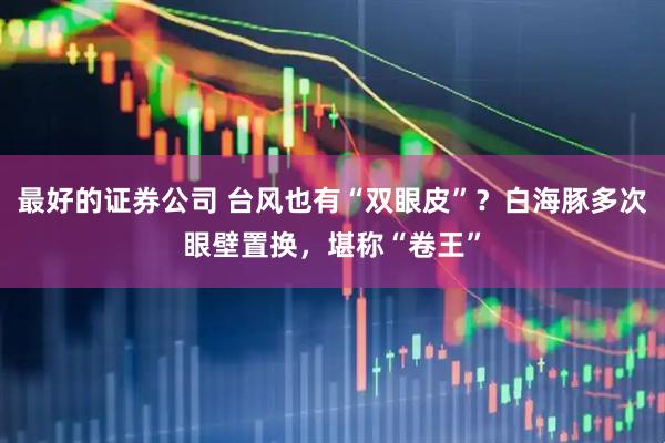 最好的证券公司 台风也有“双眼皮”？白海豚多次眼壁置换，堪称“卷王”